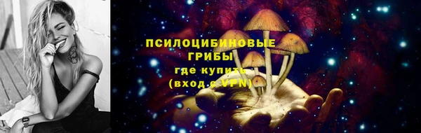 дживик Балахна