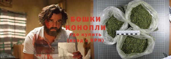 дживик Балахна
